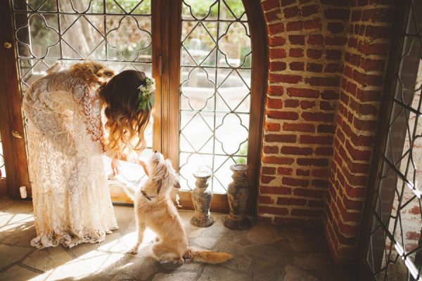 an-alpaca-almost-stole-the-spotlight-in-this-hummingbird-nest-ranch-wedding-6