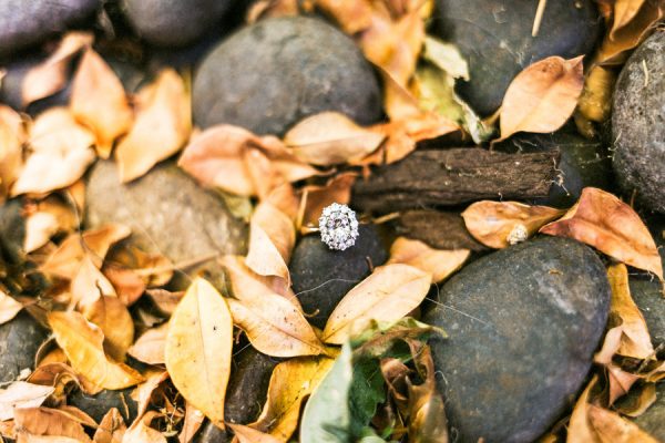 earthy-california-forest-wedding-at-saratoga-springs-36