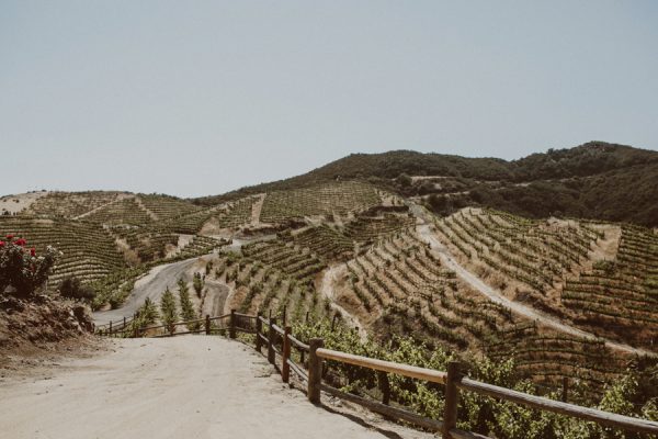 floral-and-feminine-malibu-wedding-at-saddlerock-ranch-11