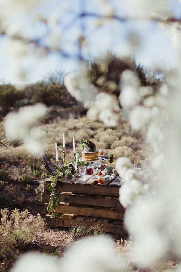 vintage-inspired-sedona-elopement-at-yavapai-point-overlooking-bell-rock-andy-roberts-photography-54