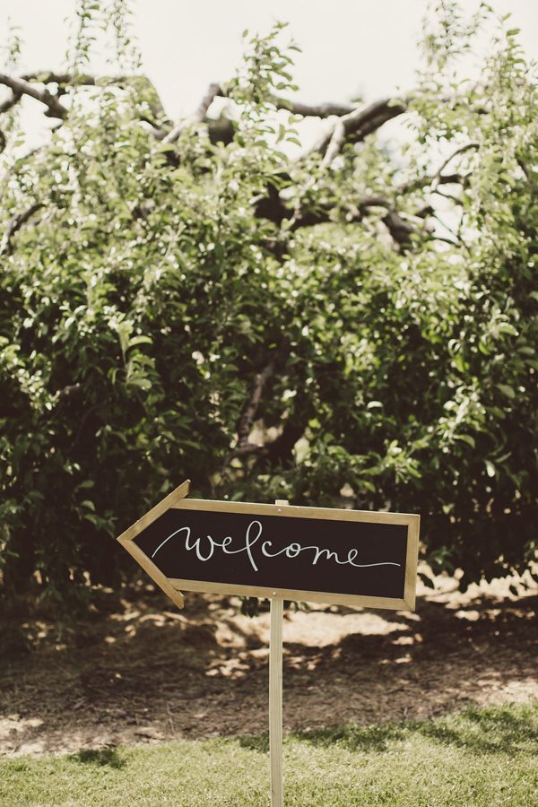 baby-blue-michigan-wedding-on-an-apple-orchard-17