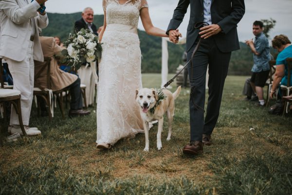 we-love-how-this-couple-incorporated-their-dog-into-their-asheville-wedding-30