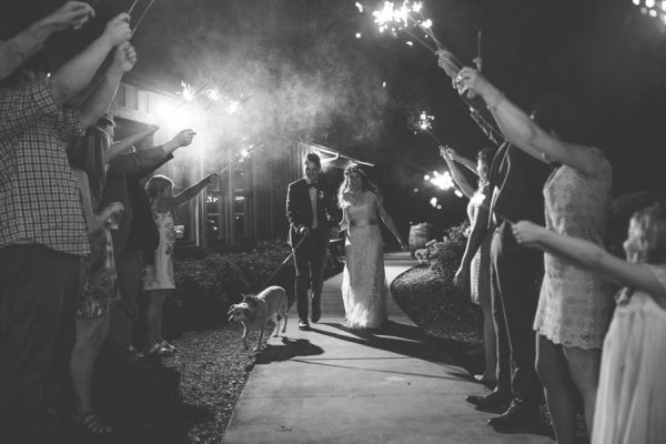 we-love-how-this-couple-incorporated-their-dog-into-their-asheville-wedding-44