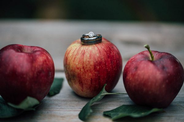 this-michigan-orchard-wedding-at-belsolda-farm-is-quintessentially-autumn-vafa-photography-45