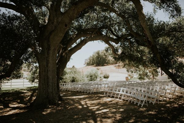 View More: http://jcguzmanphoto.pass.us/nicolejbweddings