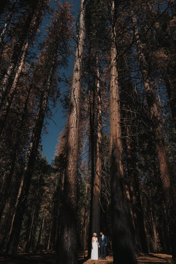 intimate-adventure-wedding-in-yosemite-national-park-14