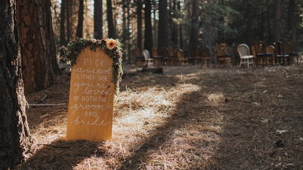 intimate-adventure-wedding-in-yosemite-national-park-19