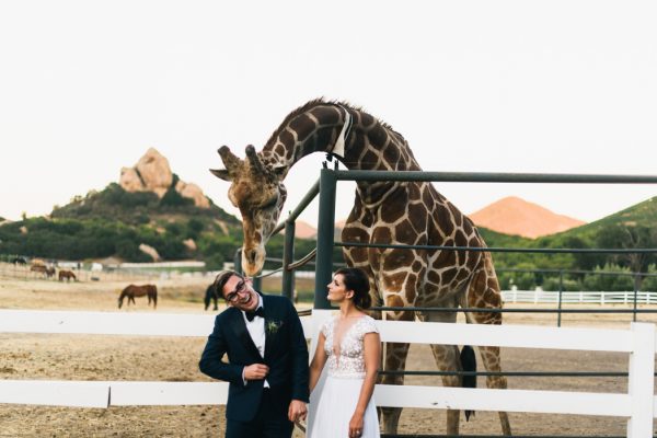 mid-century-modern-saddlerock-ranch-wedding-36