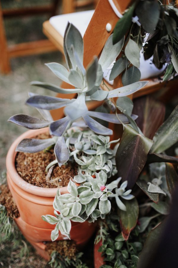 this-albuquerque-wedding-took-cues-from-the-natural-beauty-of-historic-los-poblanos-13