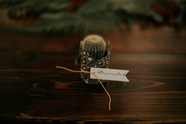 romantic-autumnal-portland-wedding-at-union-pine-olivia-strohm-photography-47