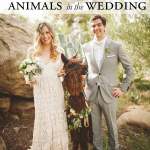 28 Times Animals in Weddings Stole the Show