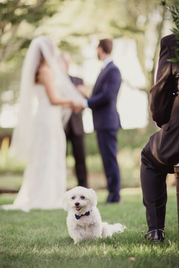 classically-beautiful-wedding-in-the-hamptons-12