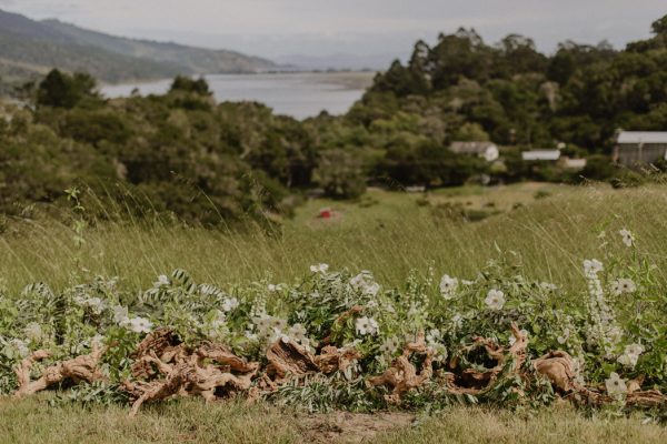 this-mann-family-farm-wedding-combines-french-and-west-coast-countryside-vibes-5