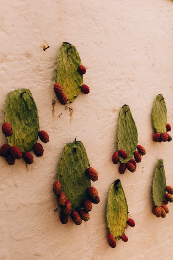 this-romantic-masseria-montenapoleone-wedding-inspiration-is-quinessentially-italian-20