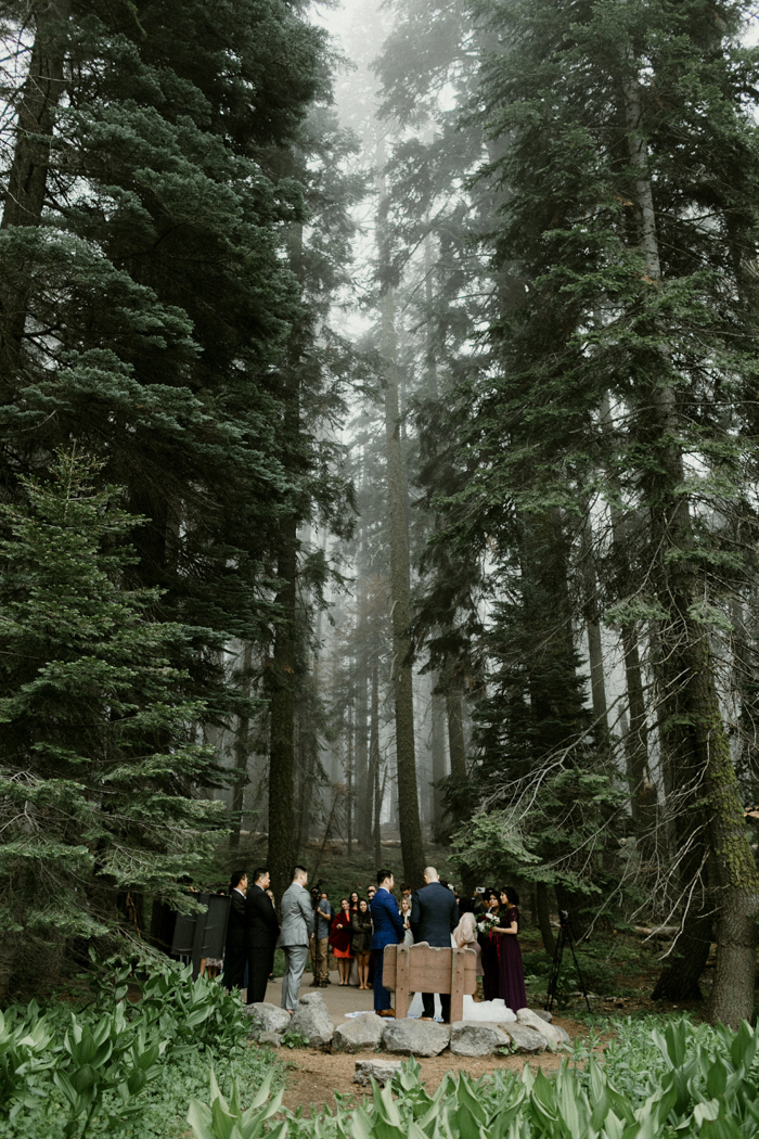Sequoia national park couple