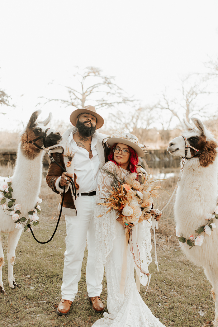 bride and groom with llamas