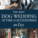 The Best Dog Wedding Attire and Accessories on Etsy