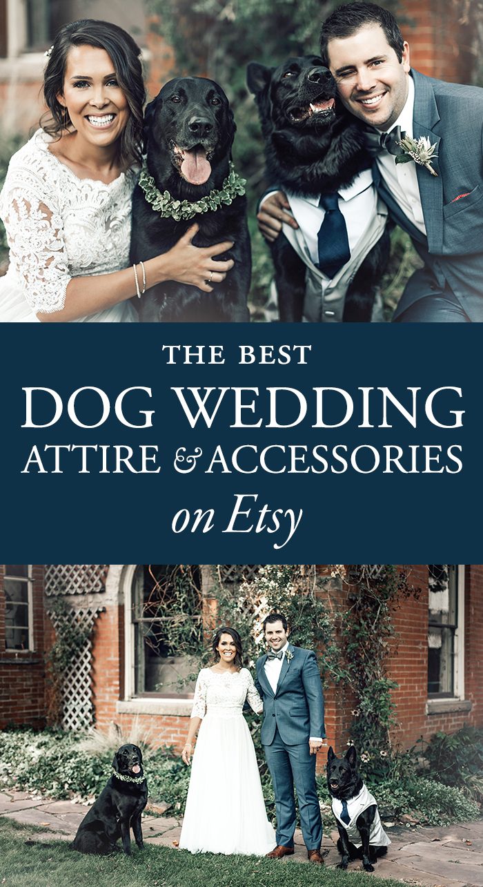 Dog shop wedding attire