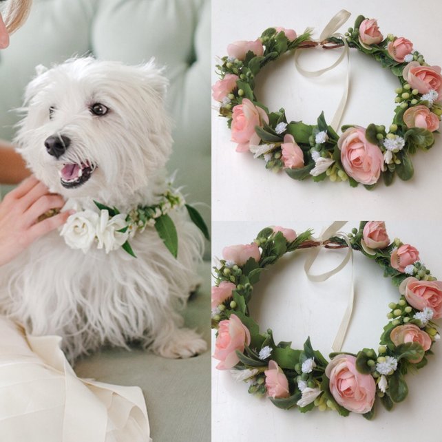 dog wedding collar