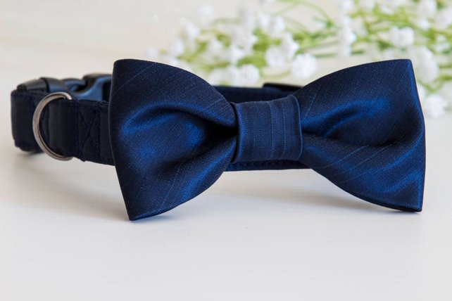 dickie bow dog collar