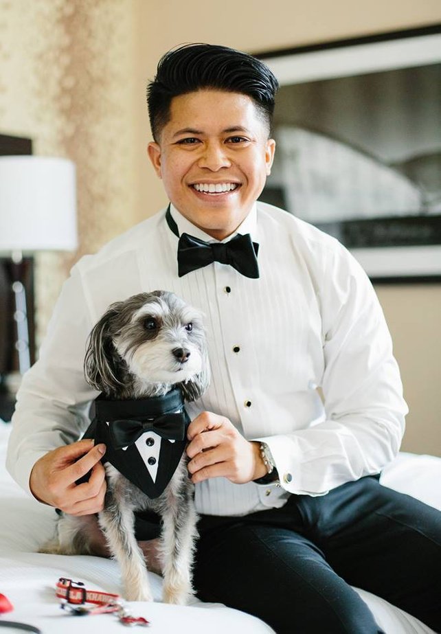 bow ties for dogs wedding