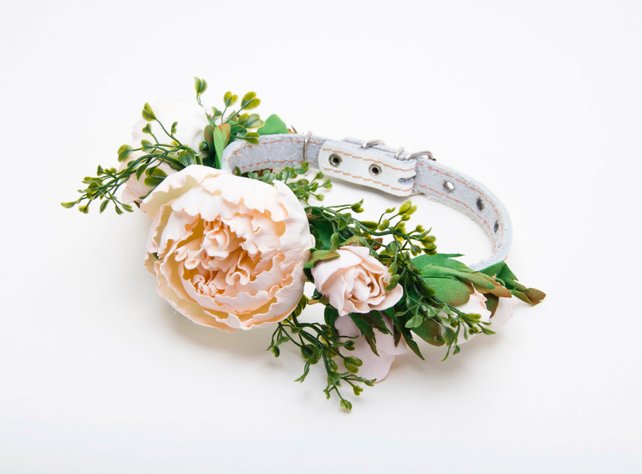 Dog hotsell wedding collar