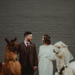 Authentically Vintage Ace Hotel Portland Wedding Complete with Scandinavian Notes and a Couple of Llamas