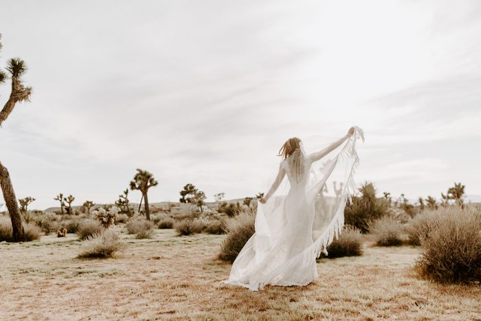 Planning an Intimate Wedding? Get Inspired by This Private Joshua Tree ...