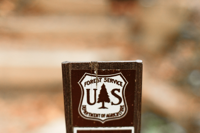 US forest service plaque