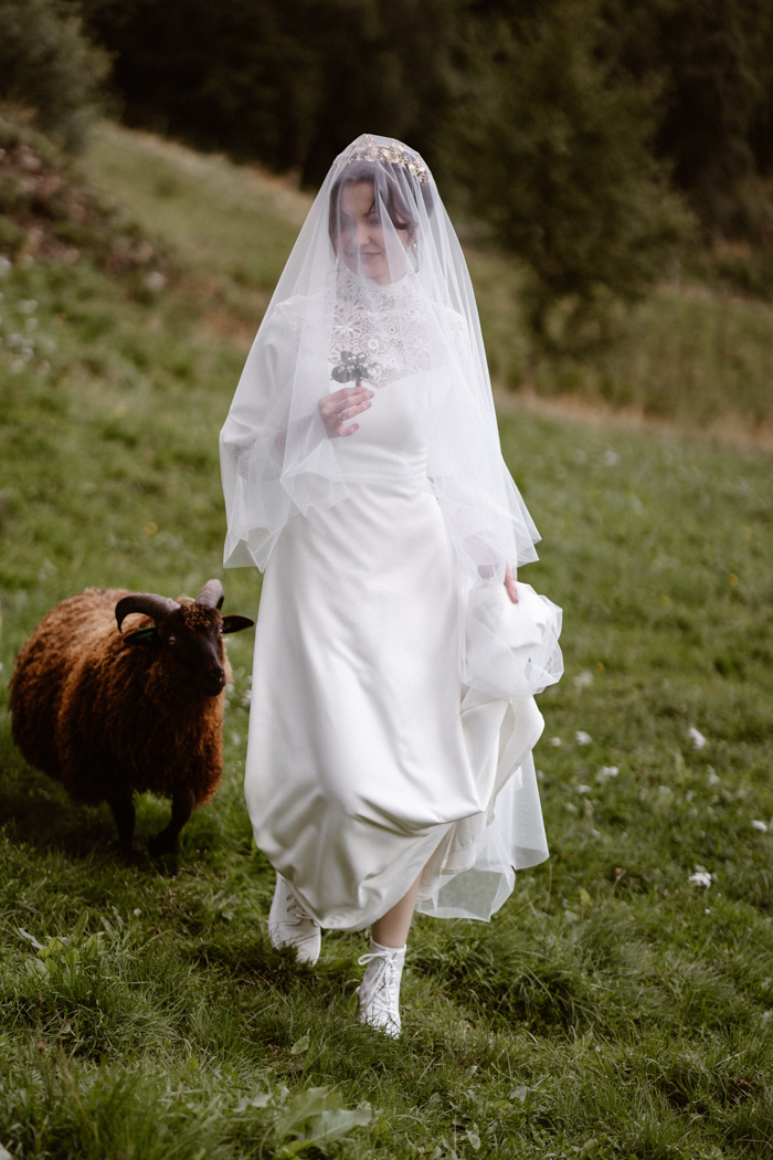 Sheep in Wedding Dress