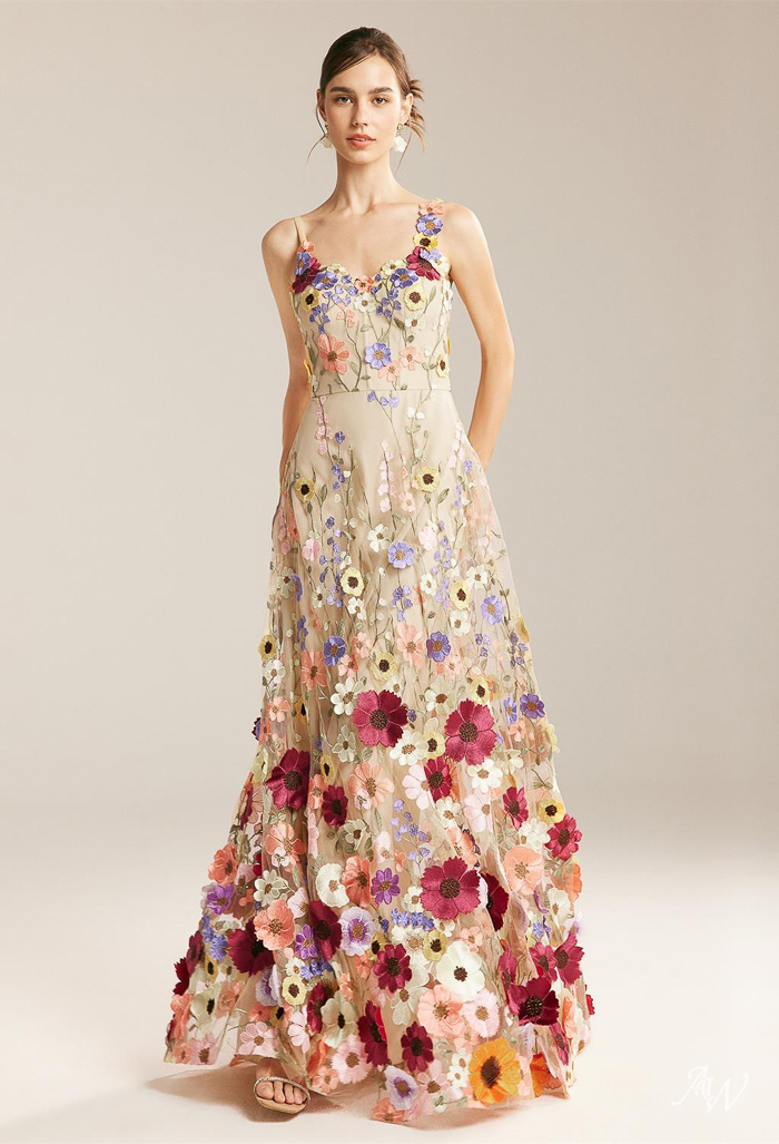 Dress The Population Sidney A-Line Sheer Lace Floral Appliqué Gown