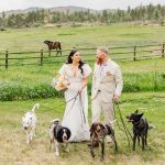 Dogs Signed the Marriage License at This Stove Prairie Ranch Wedding