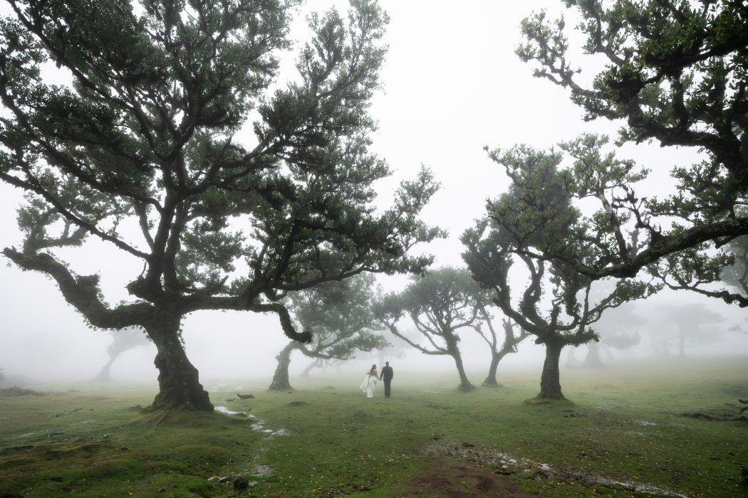 couple in foggy madeira portugal