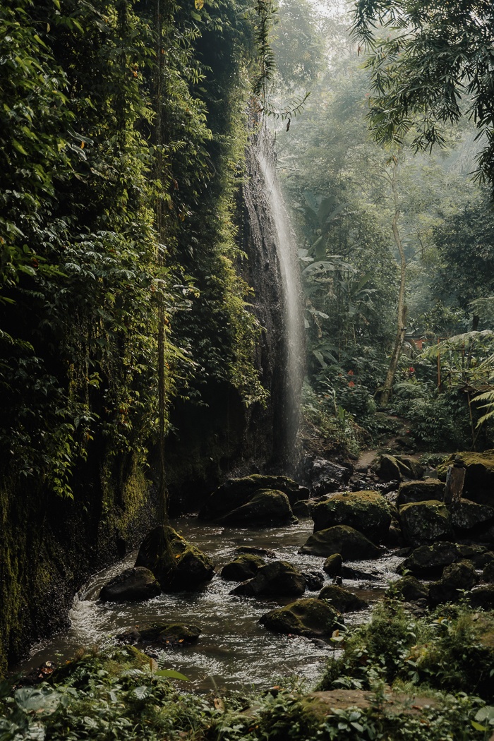 This Tibumana Waterfall Elopement in Ubud, Bali Was an Intimate Family Affair