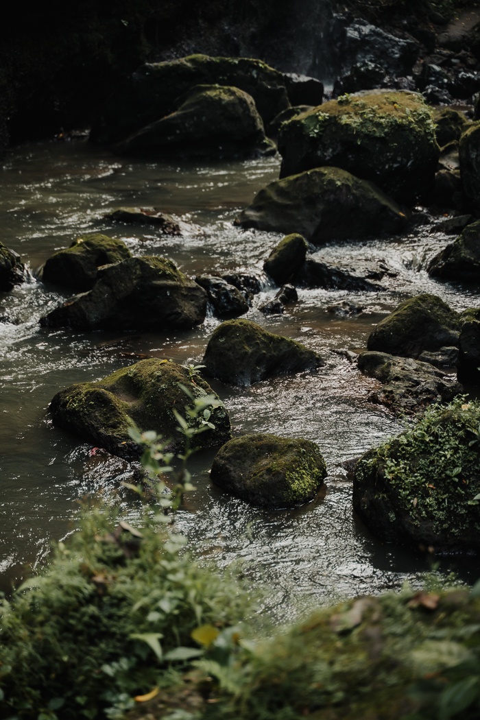 This Tibumana Waterfall Elopement in Ubud, Bali Was an Intimate Family Affair