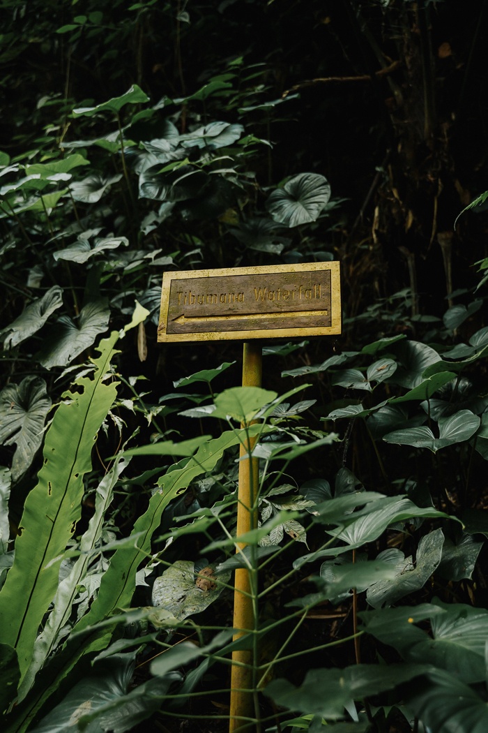 This Tibumana Waterfall Elopement in Ubud, Bali Was an Intimate Family Affair